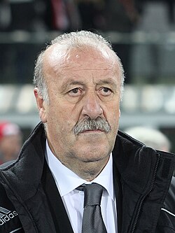 Vicente del Bosque